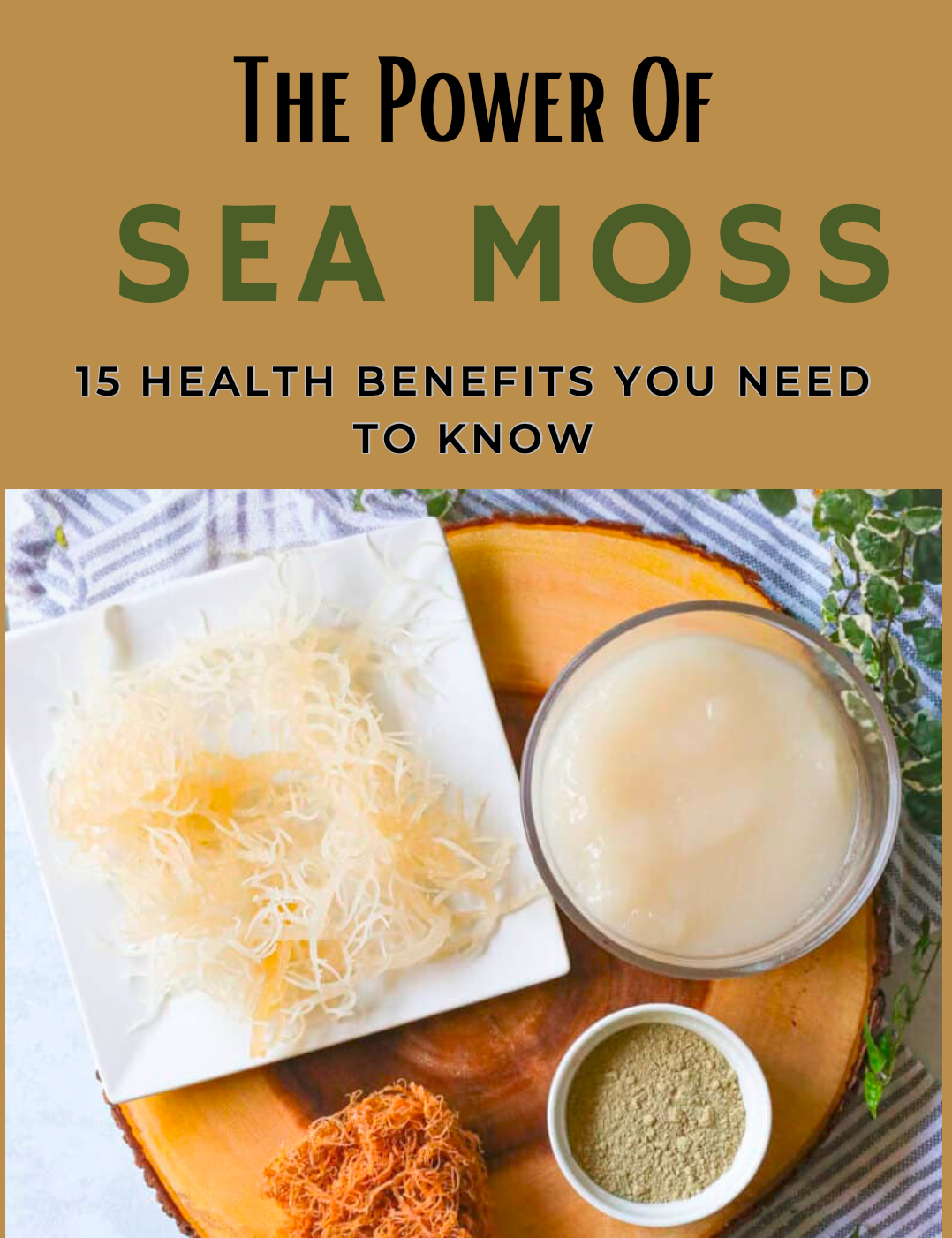 The Power Of Sea Moss - 15 Health Benefits You Need To Know (ebook)